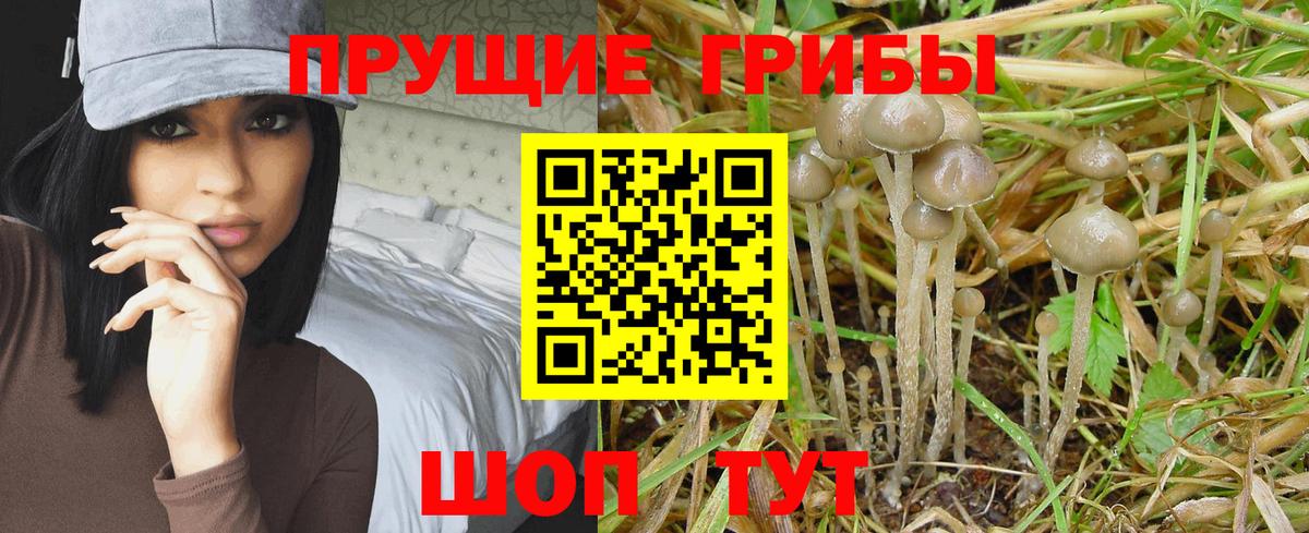 Галлюциногенные грибы мицелий Кудрово