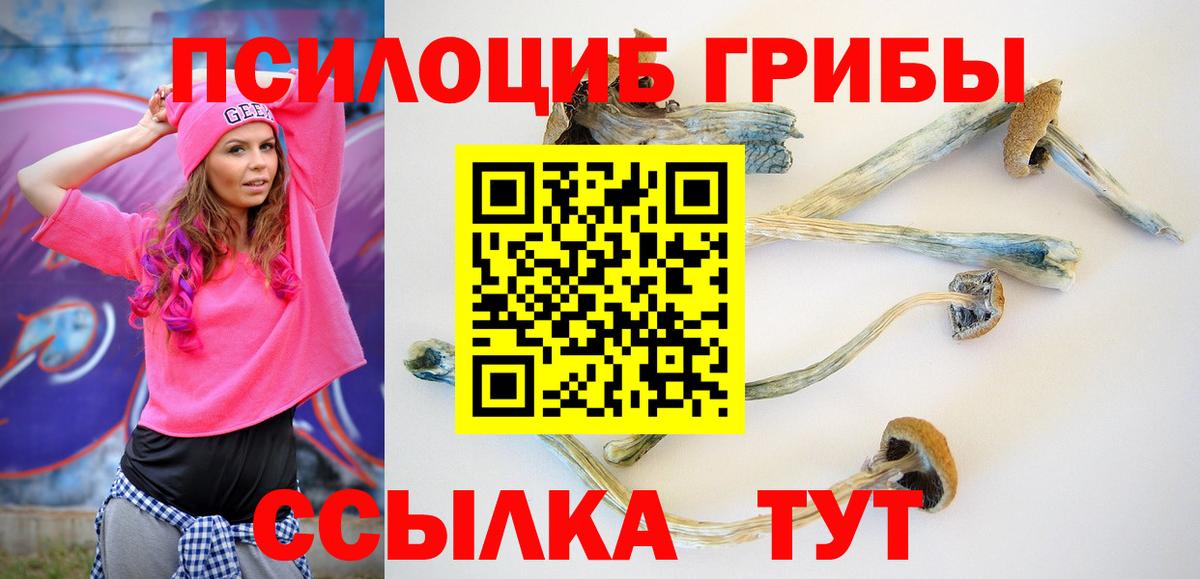 Псилоцибиновые грибы Magic Shrooms  где купить наркотик  Кудрово  Галлюциногенные грибы Psilocybine cubensis  Вход с VPN 